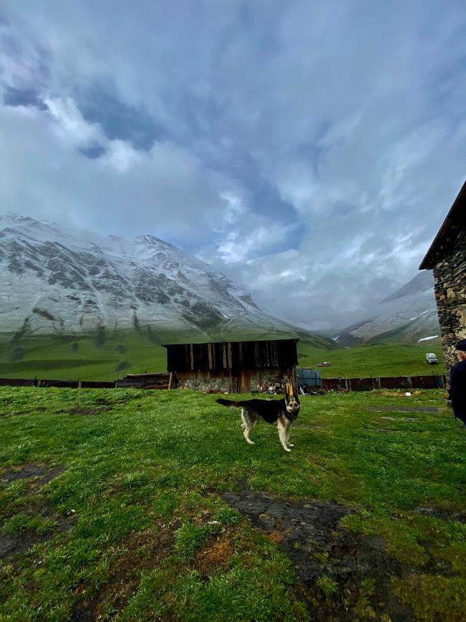 Nizharadze'S Tower Hotel Ushguli ภายนอก รูปภาพ