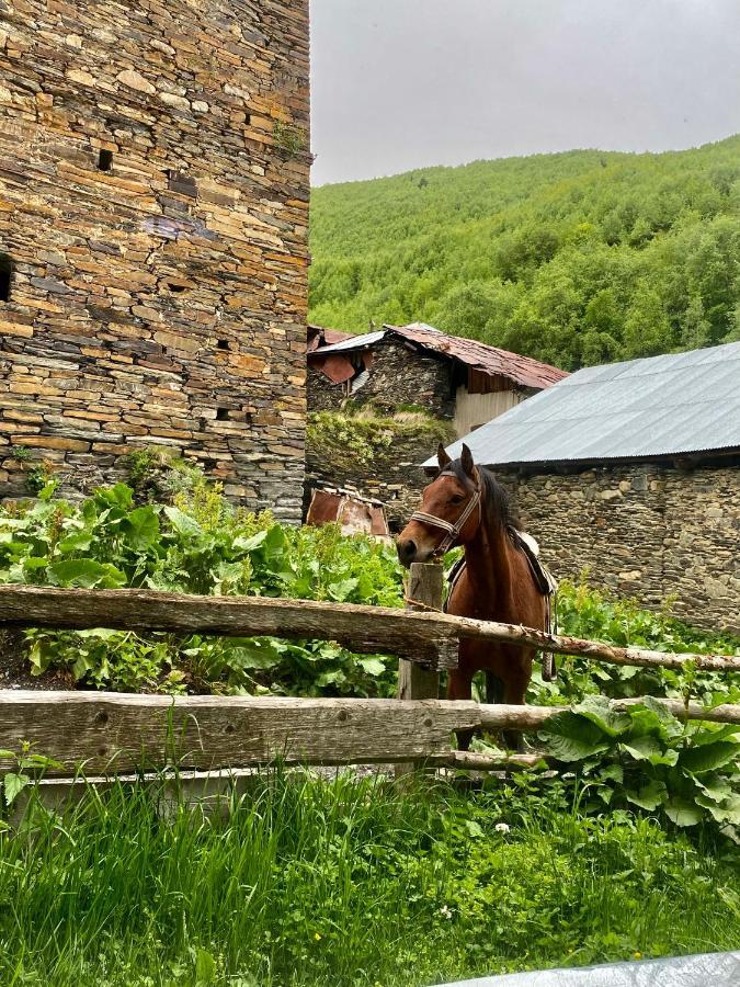 Nizharadze'S Tower Hotel Ushguli ภายนอก รูปภาพ
