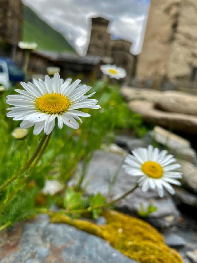 Nizharadze'S Tower Hotel Ushguli ภายนอก รูปภาพ