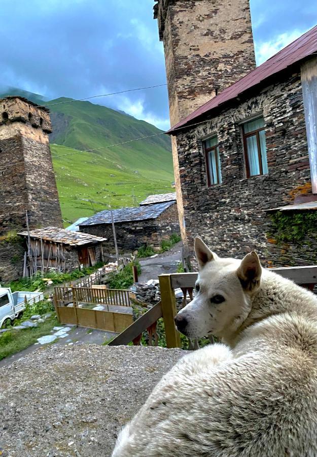 Nizharadze'S Tower Hotel Ushguli ภายนอก รูปภาพ